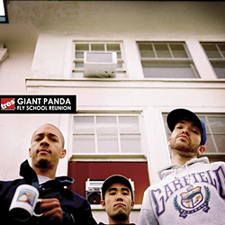 Giant Panda