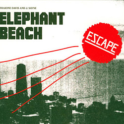 Elephant Beach